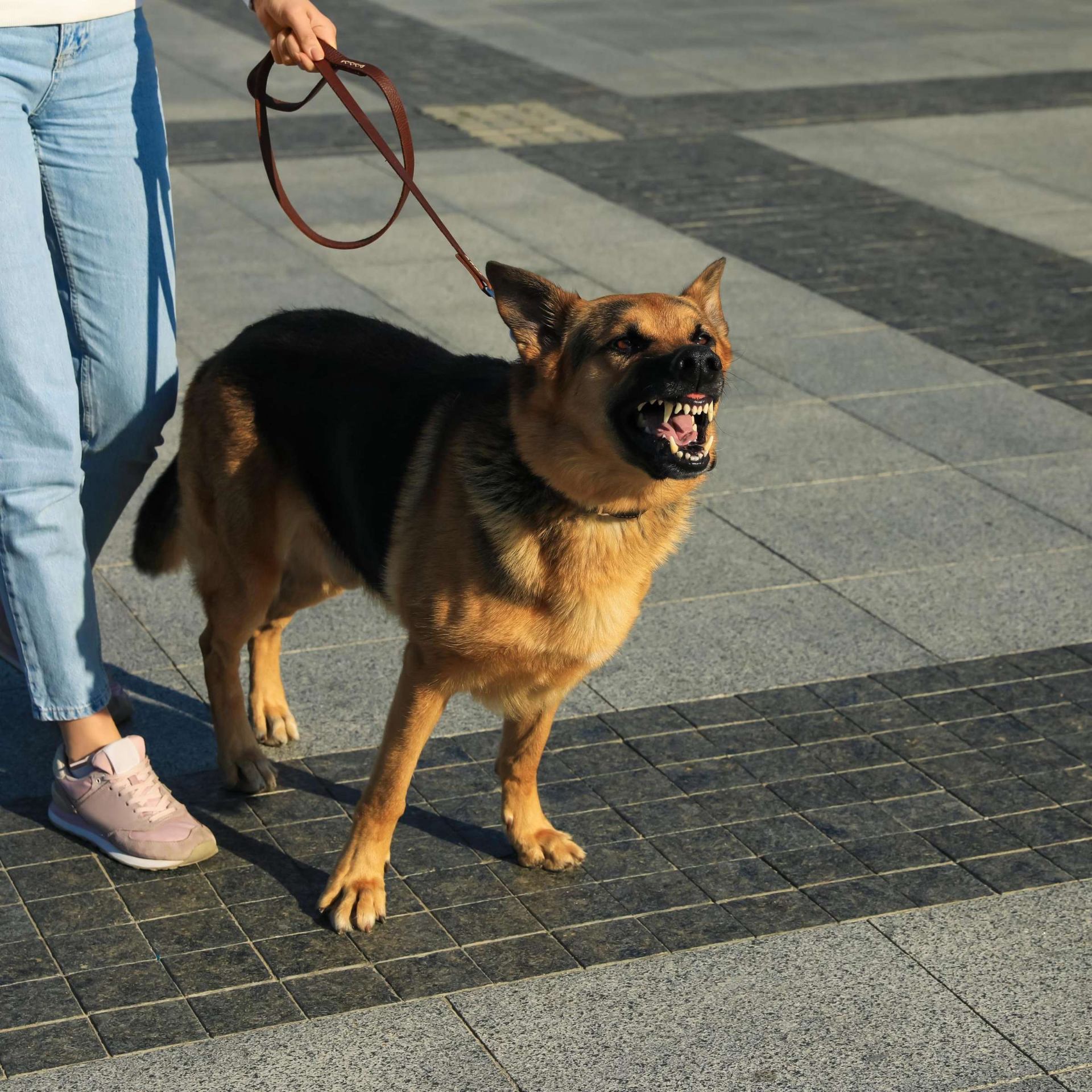 Behavioral Modification — Behavioral